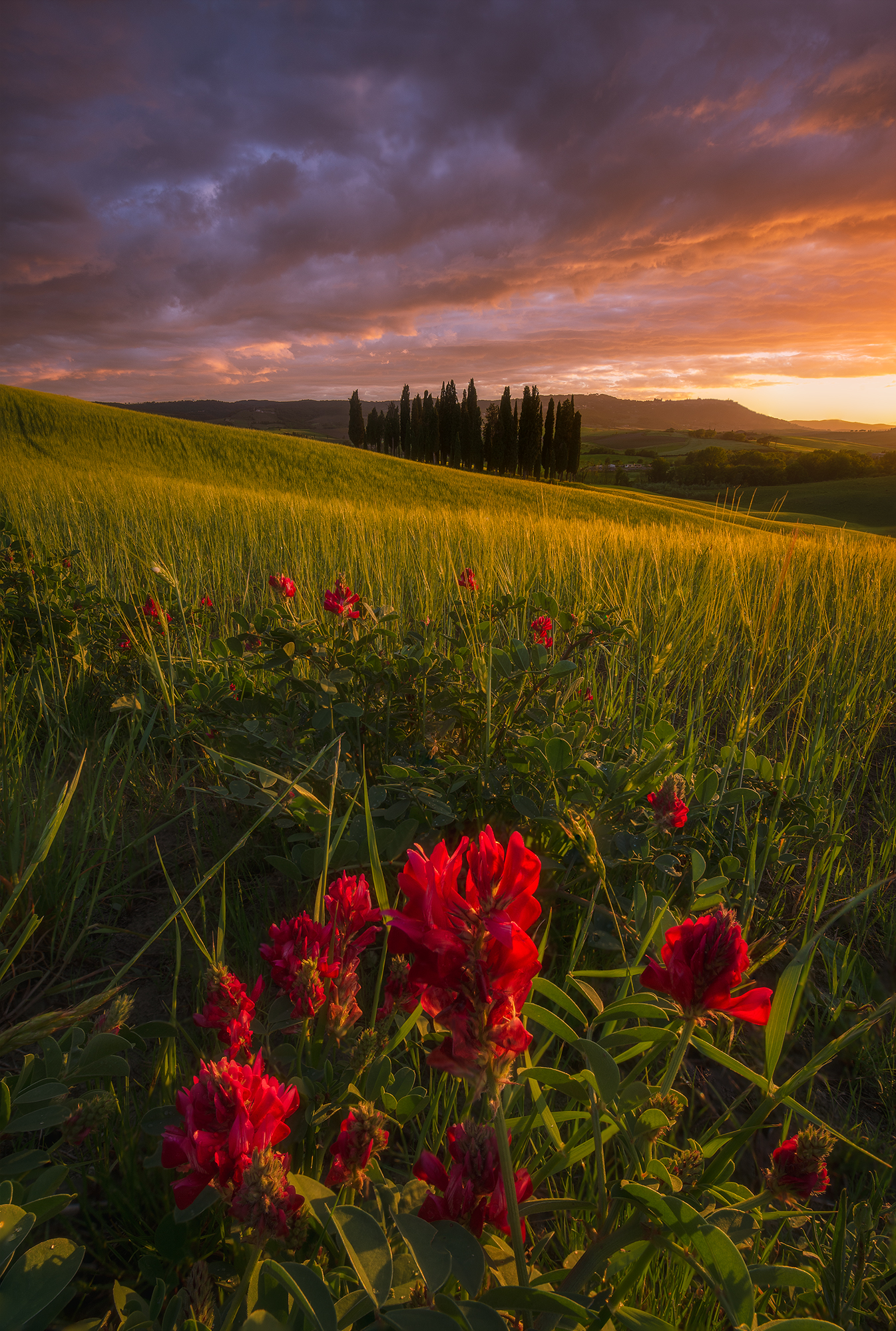 The Tuscan Spring...