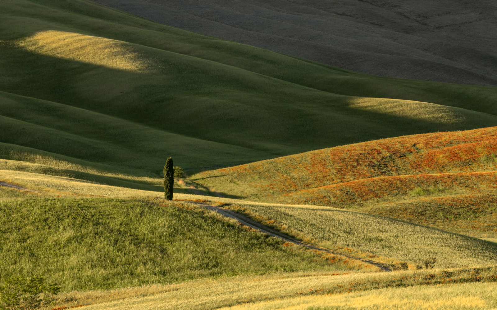 Val d'Orcia, spring 2021...