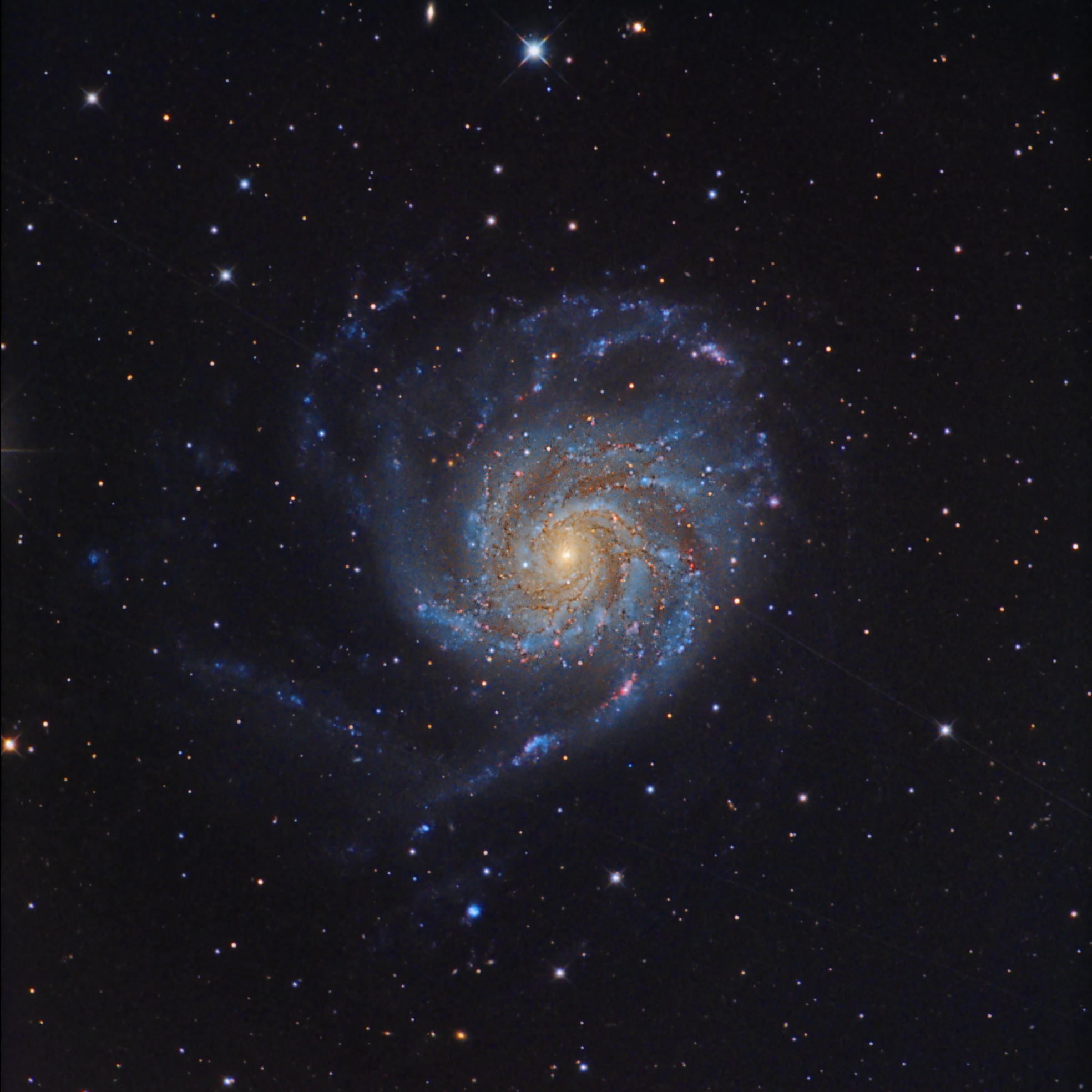 Messier 101...