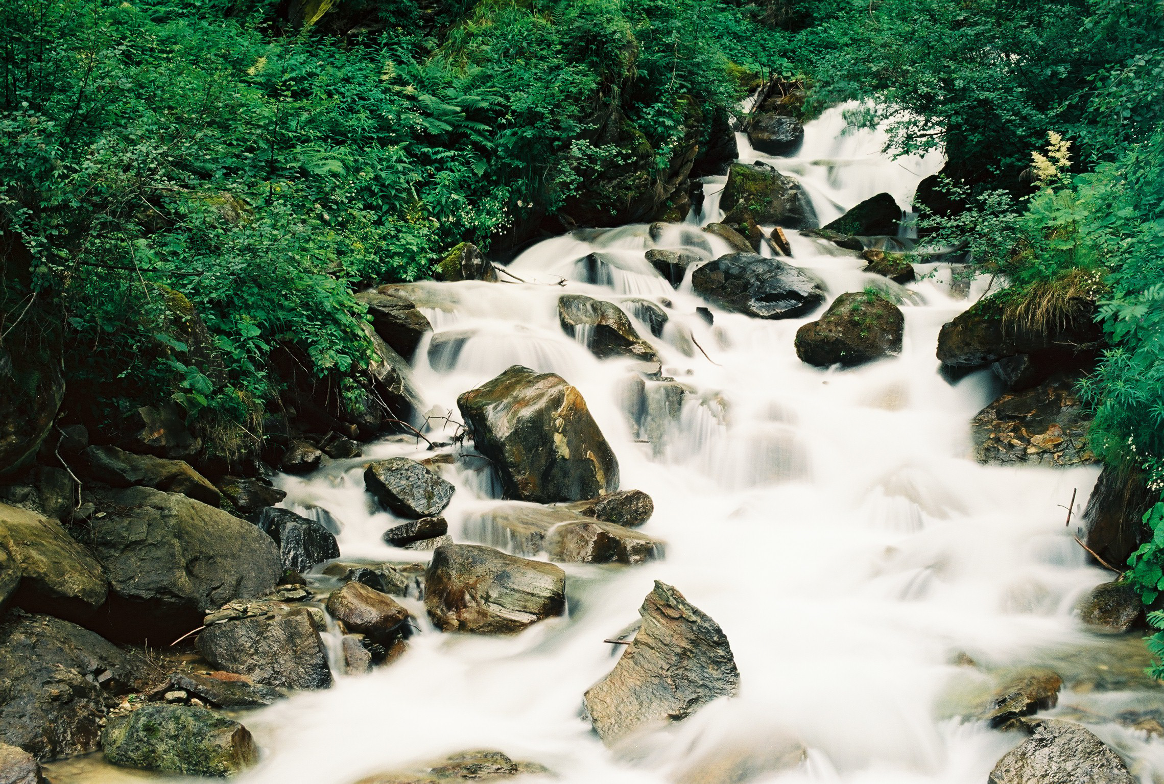 Waterfall in Rabbi Valley - Kodak Ektar 100 Pro...