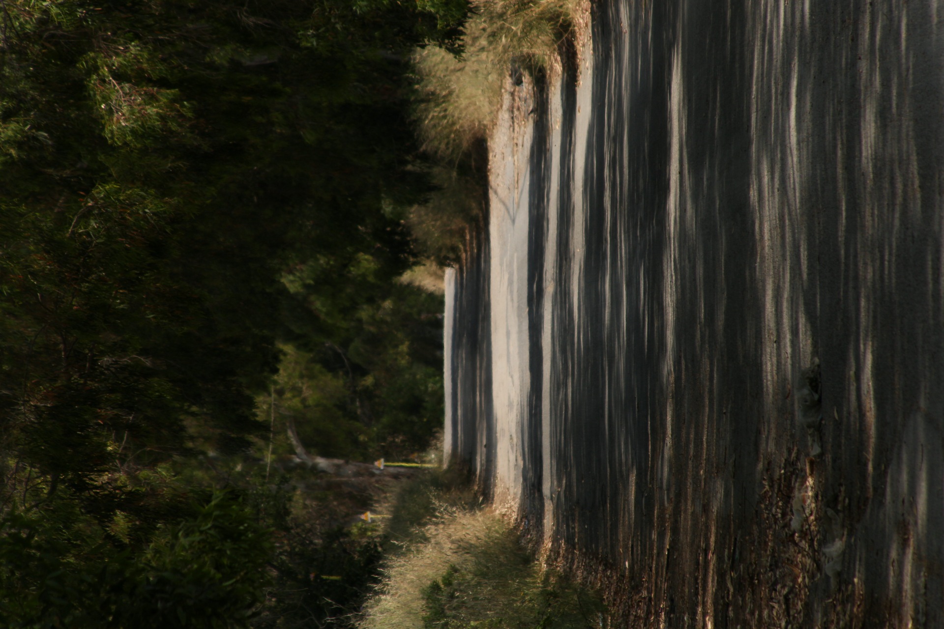 avenue...