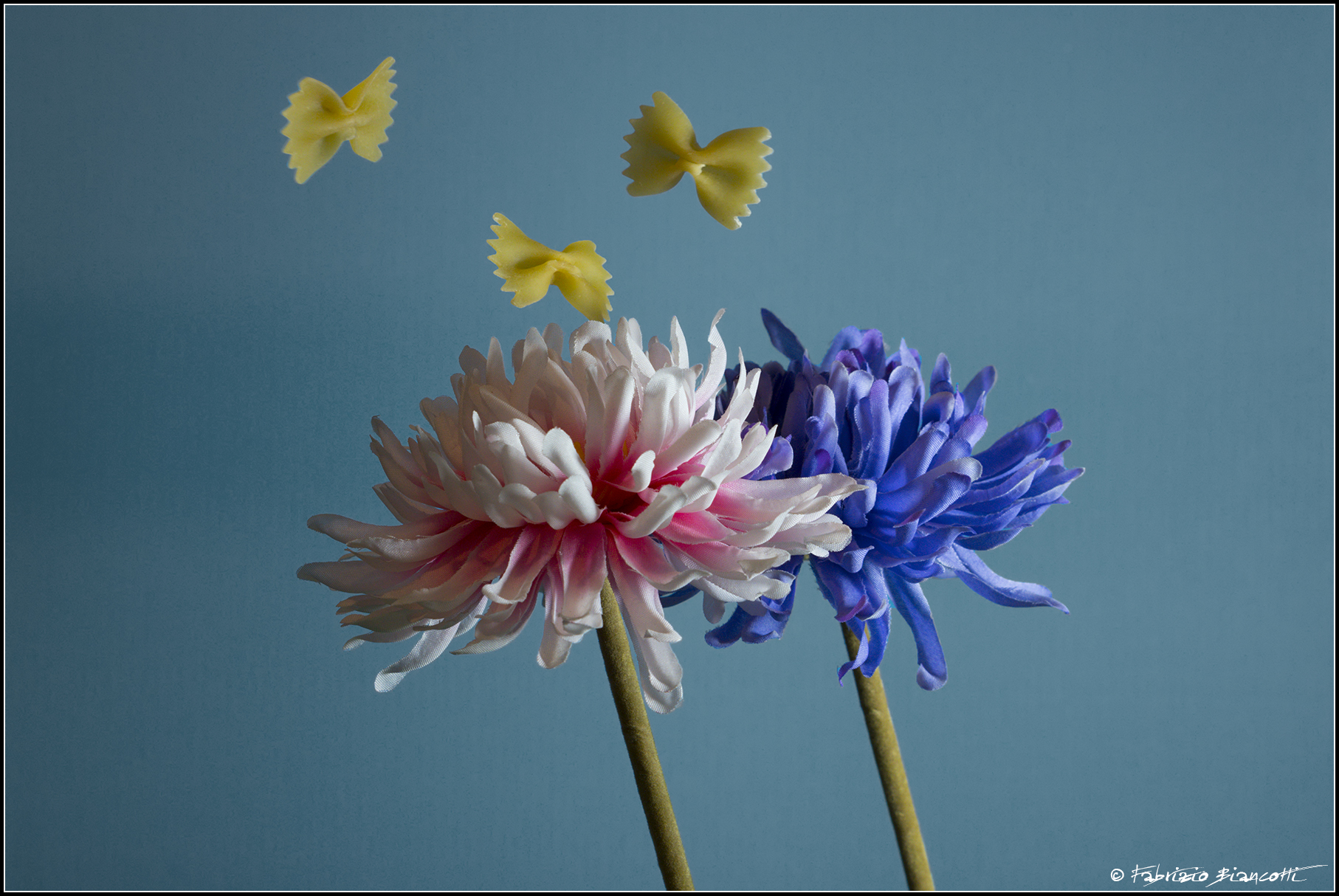 Butterflies and Flowers...