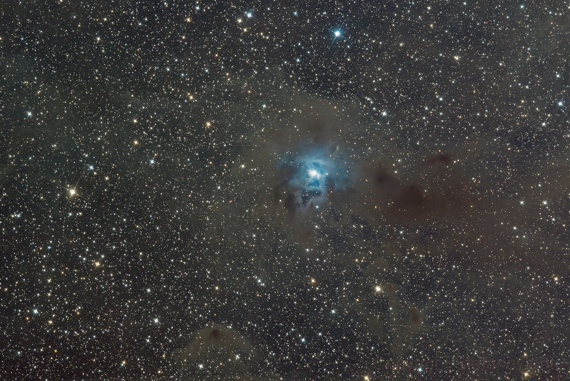 ngc7023 Iris Nebula...