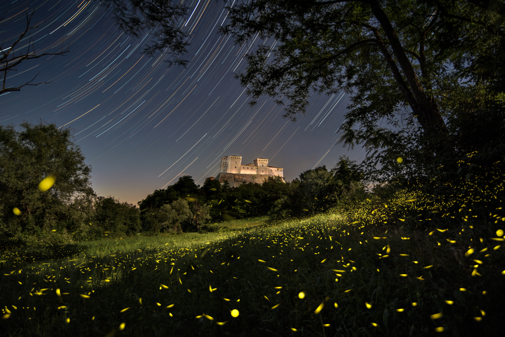 Fireflies and the Castle...
