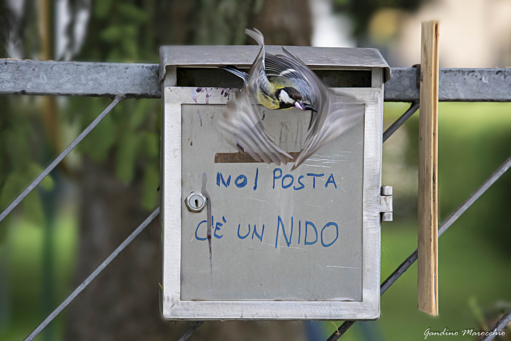  No mail!...