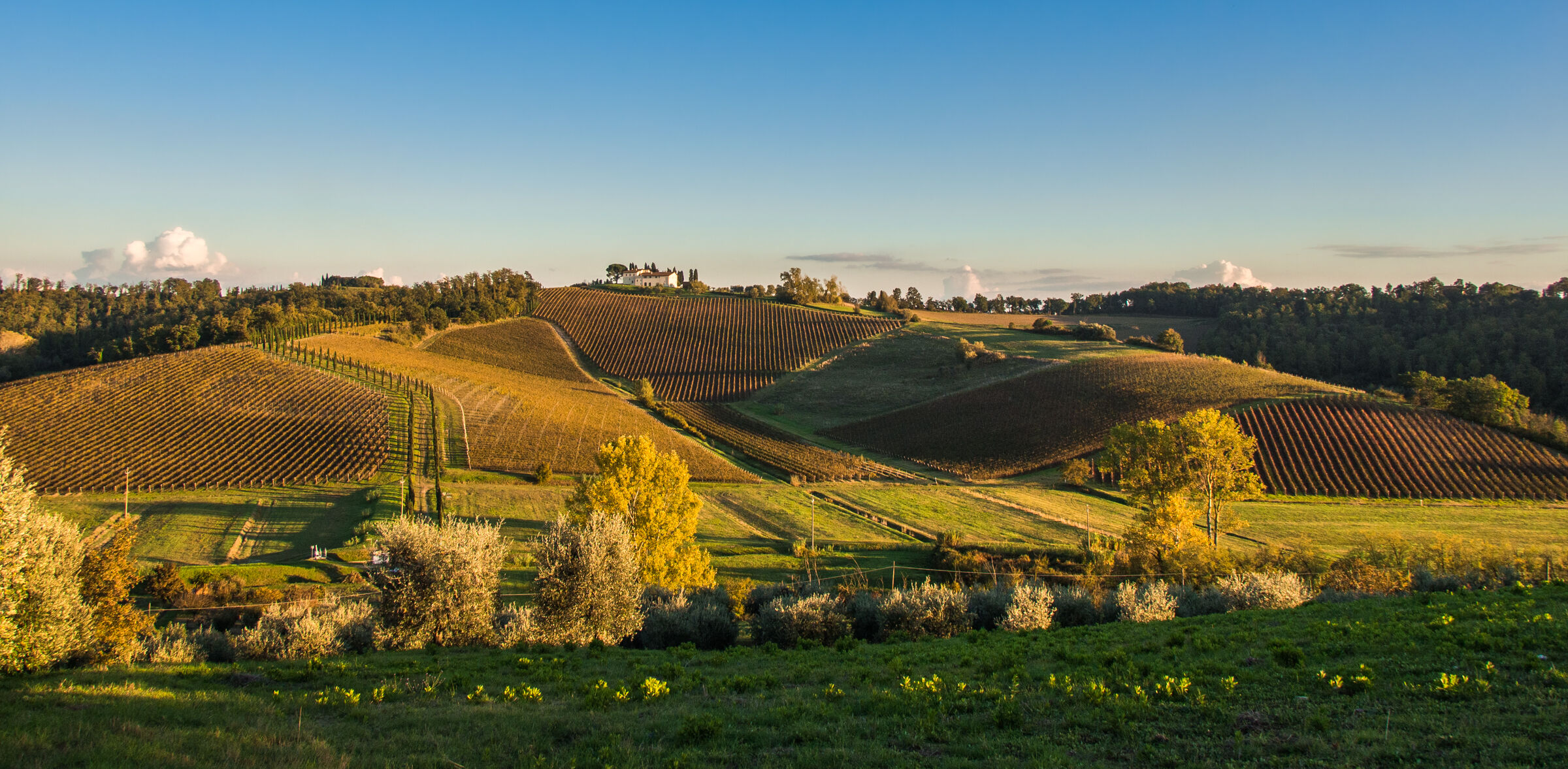 campagna Toscana...