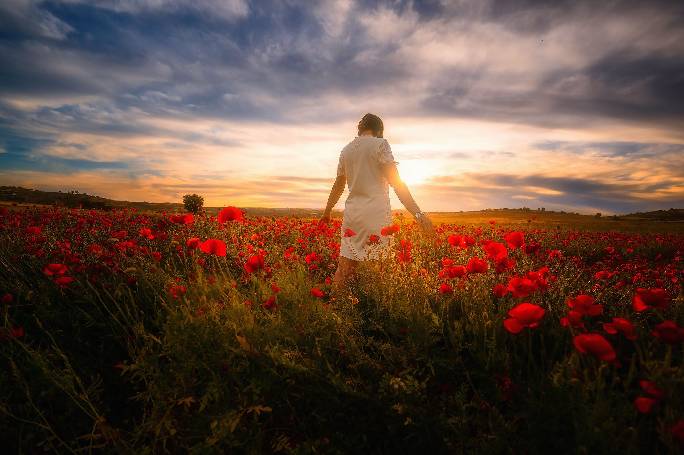 The Girl among the Poppies...
