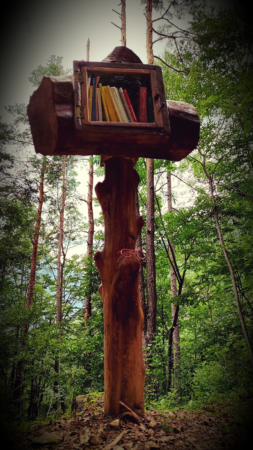 The library in the woods...