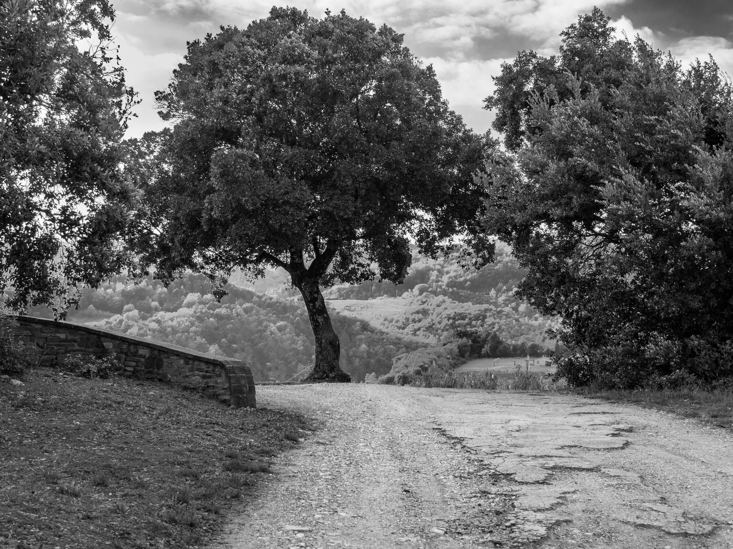 la Toscana in bianco e nero...