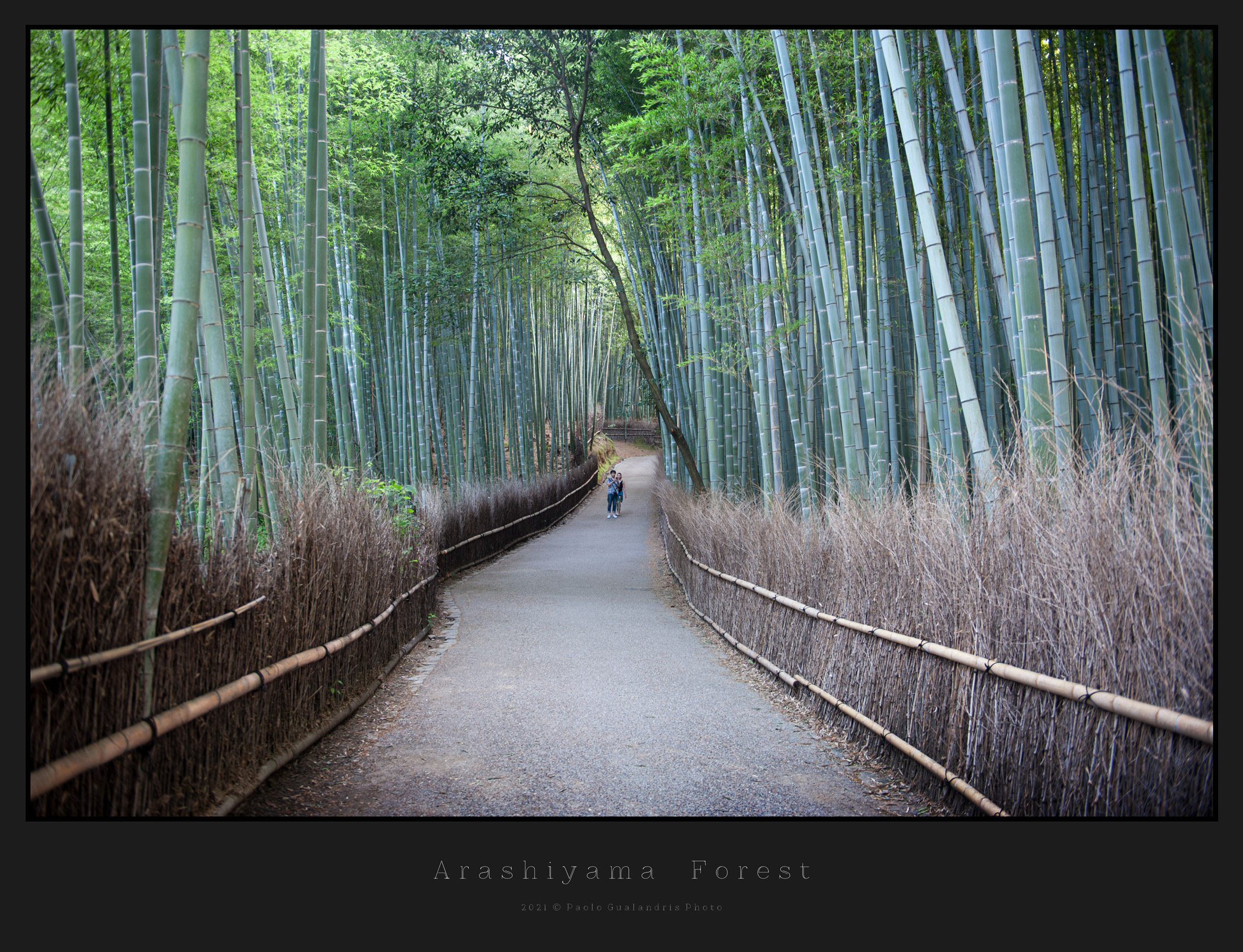Arashiyama Forest...