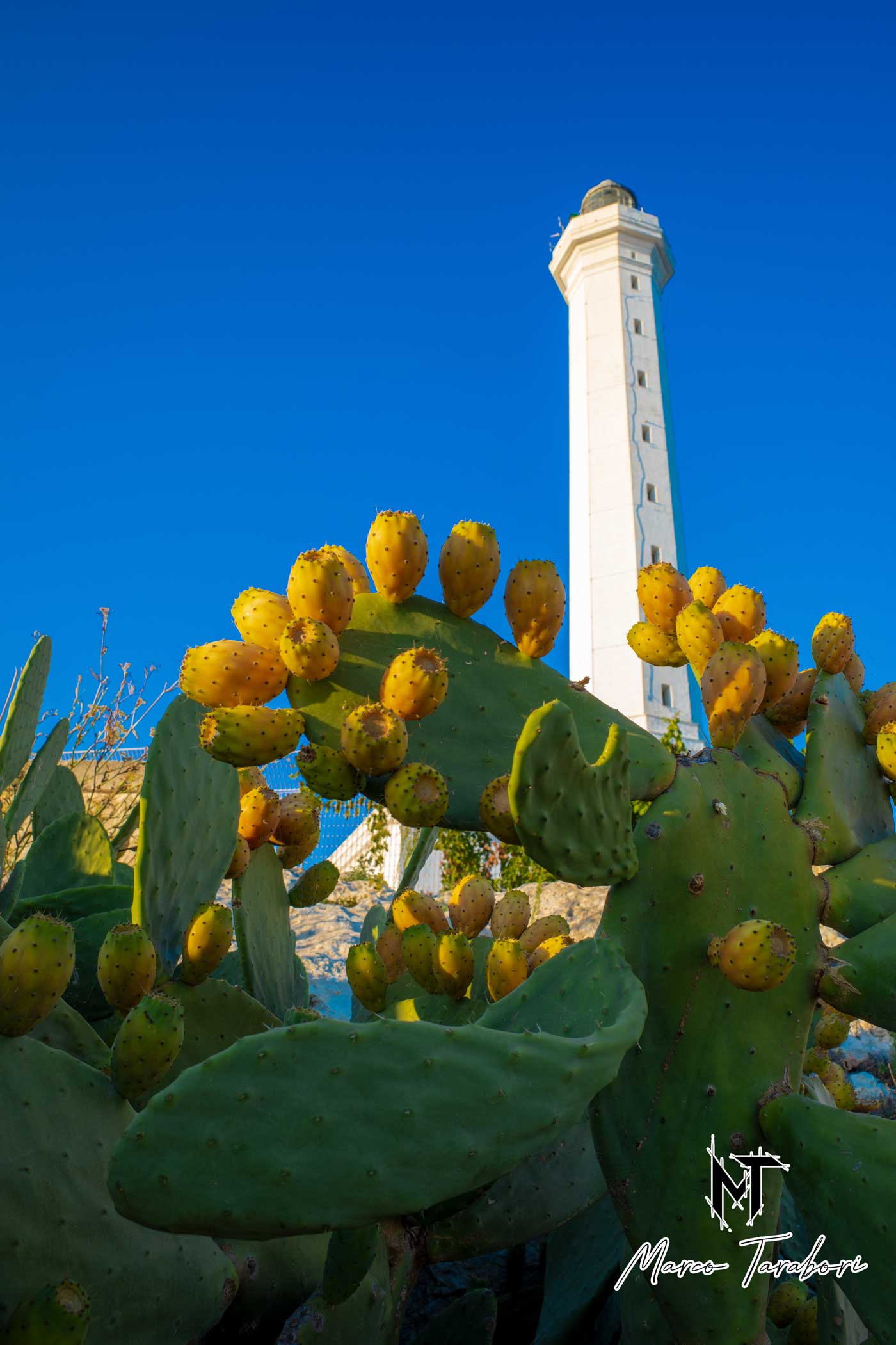 Faro Santa Maria di Leuca...