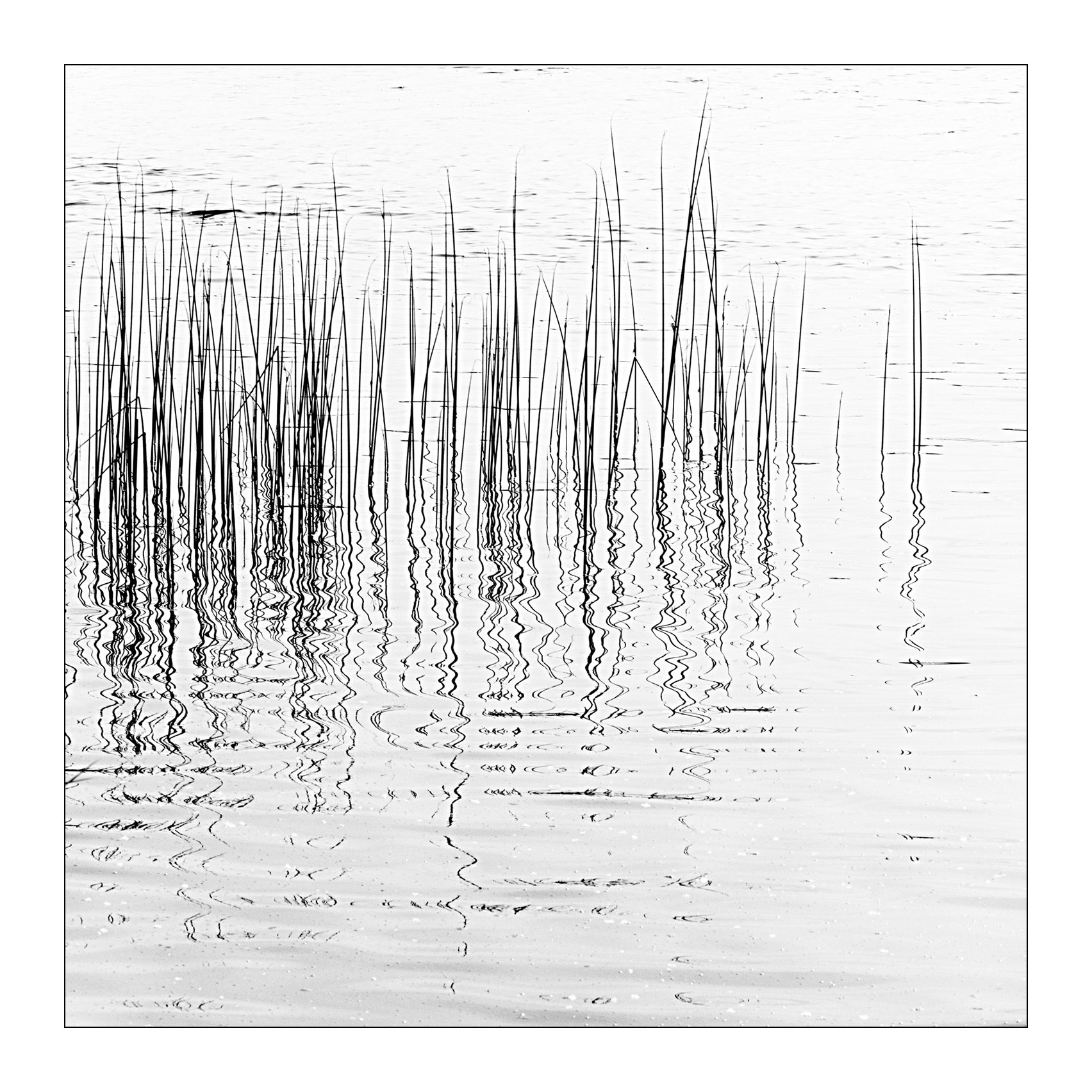 Graphisms 1...