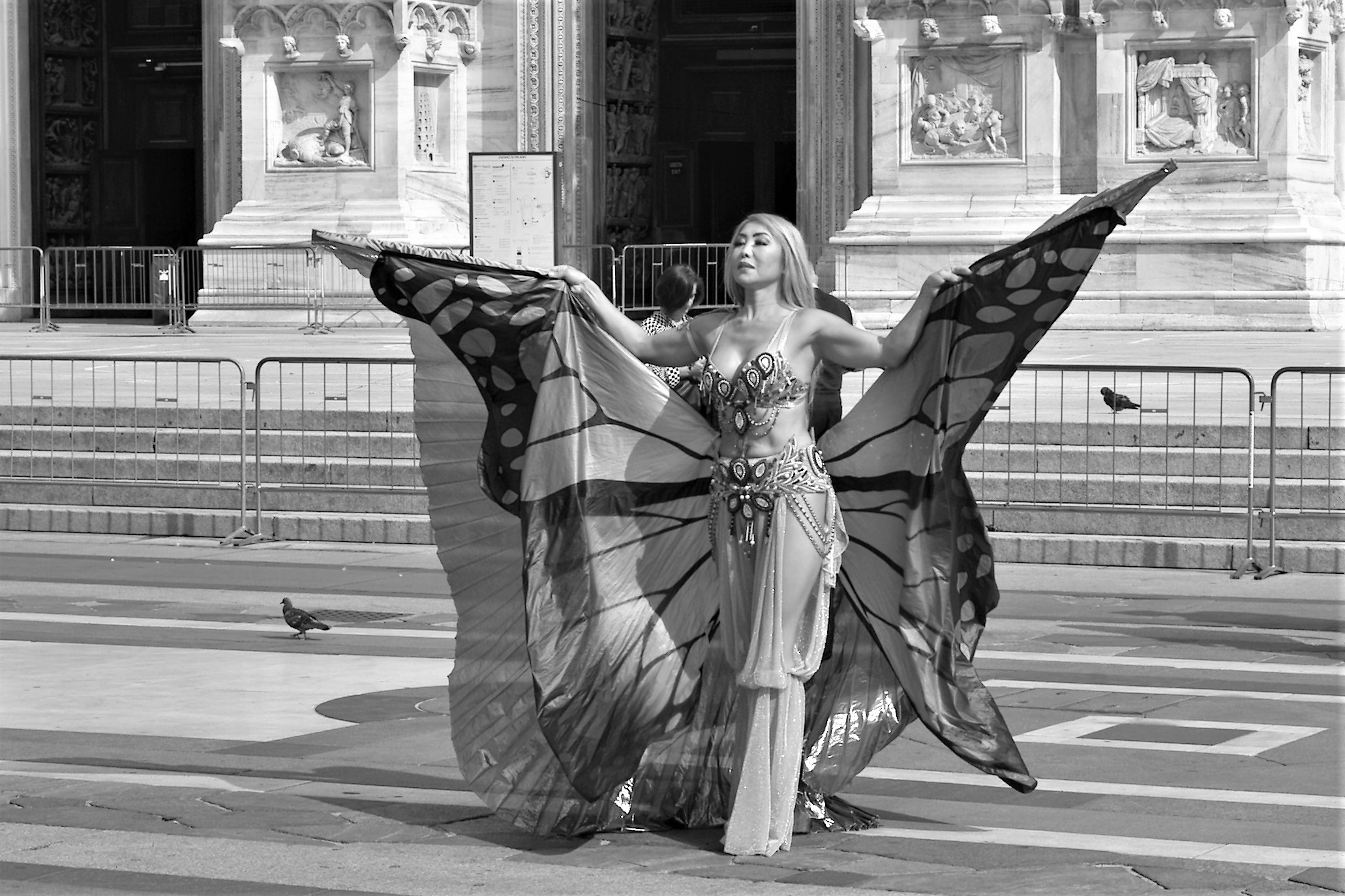Una farfalla in Piazza Duomo...