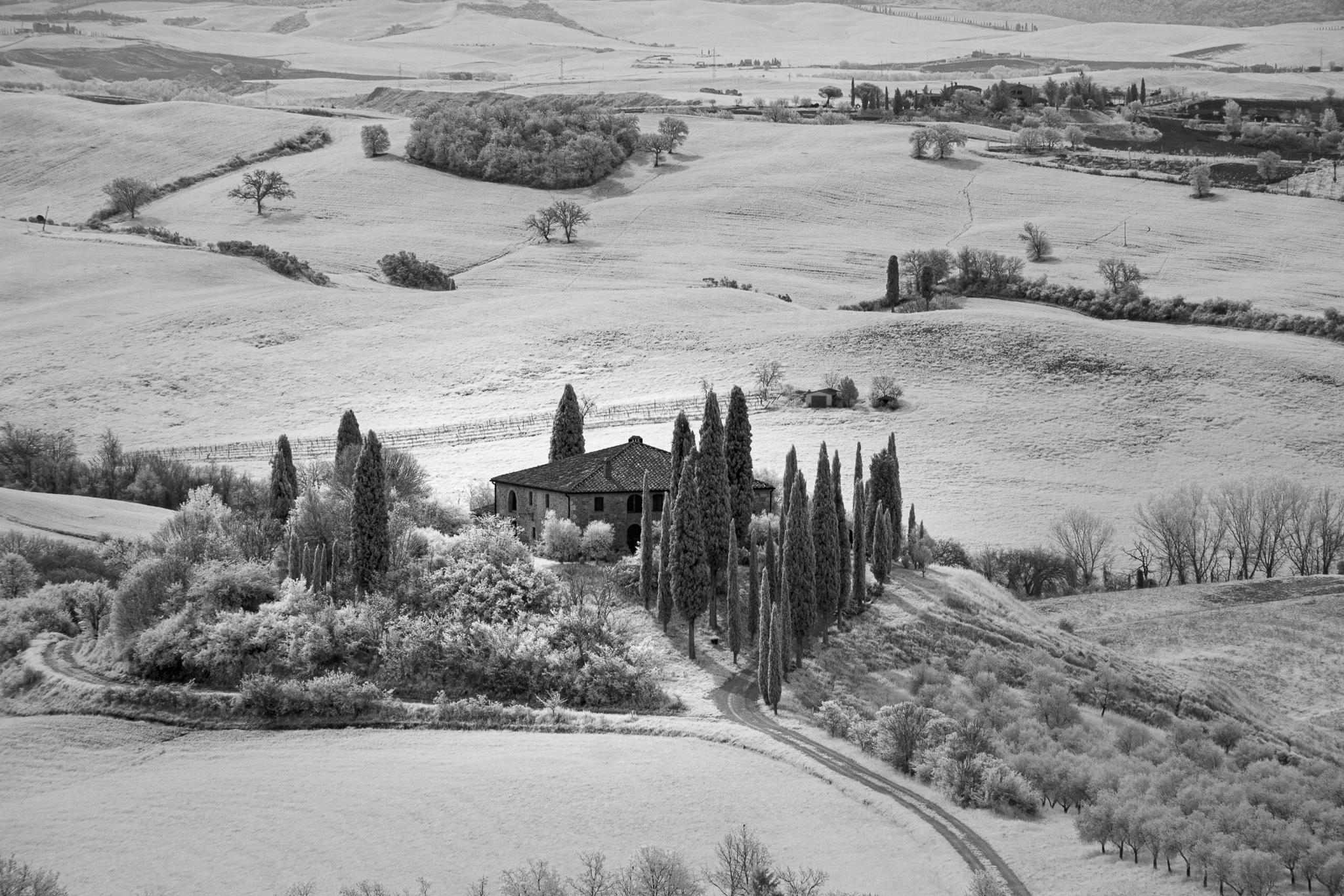 Val d'Orcia infrared...