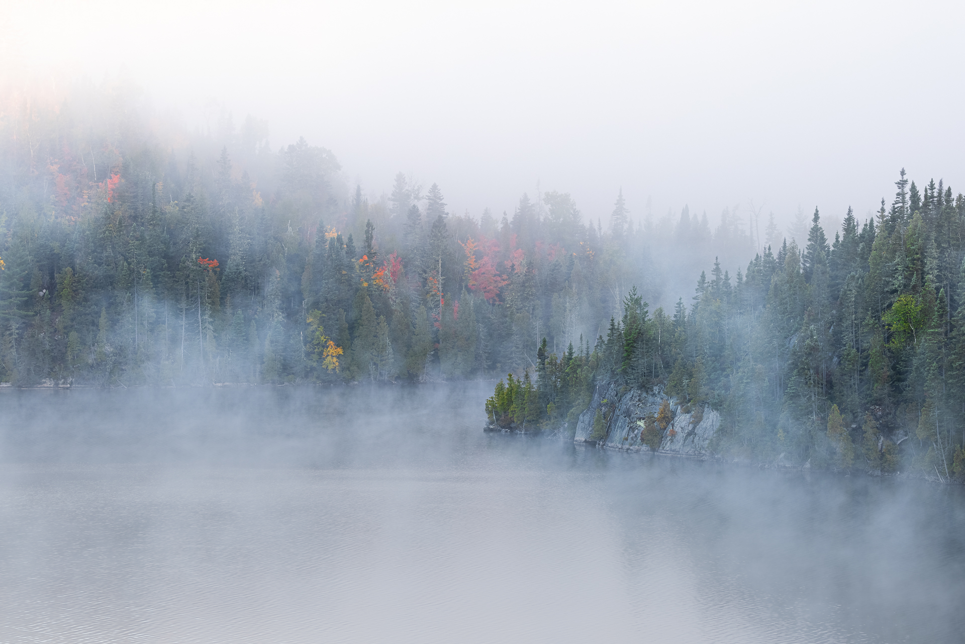 Colors in the fog...