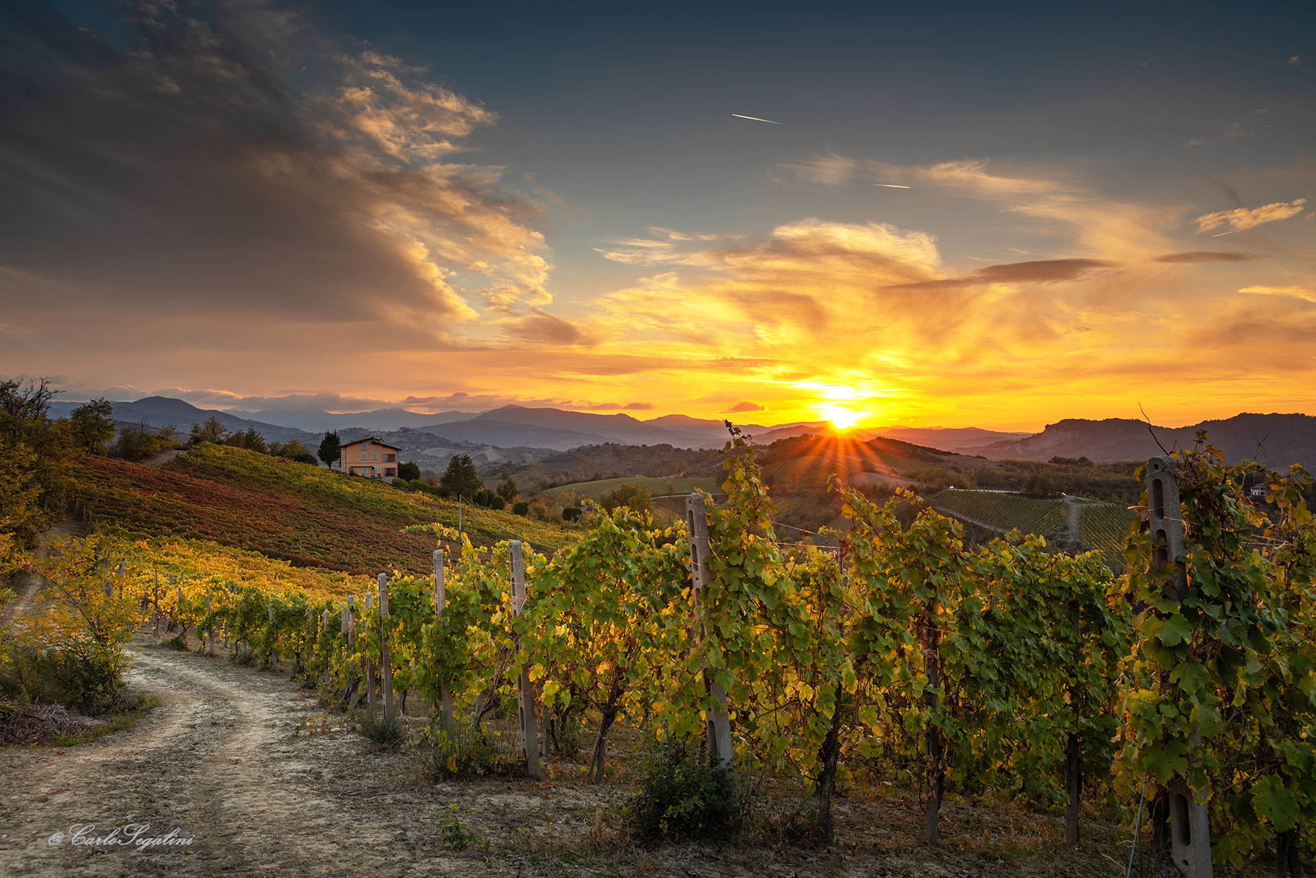 Sunset over the vineyards...