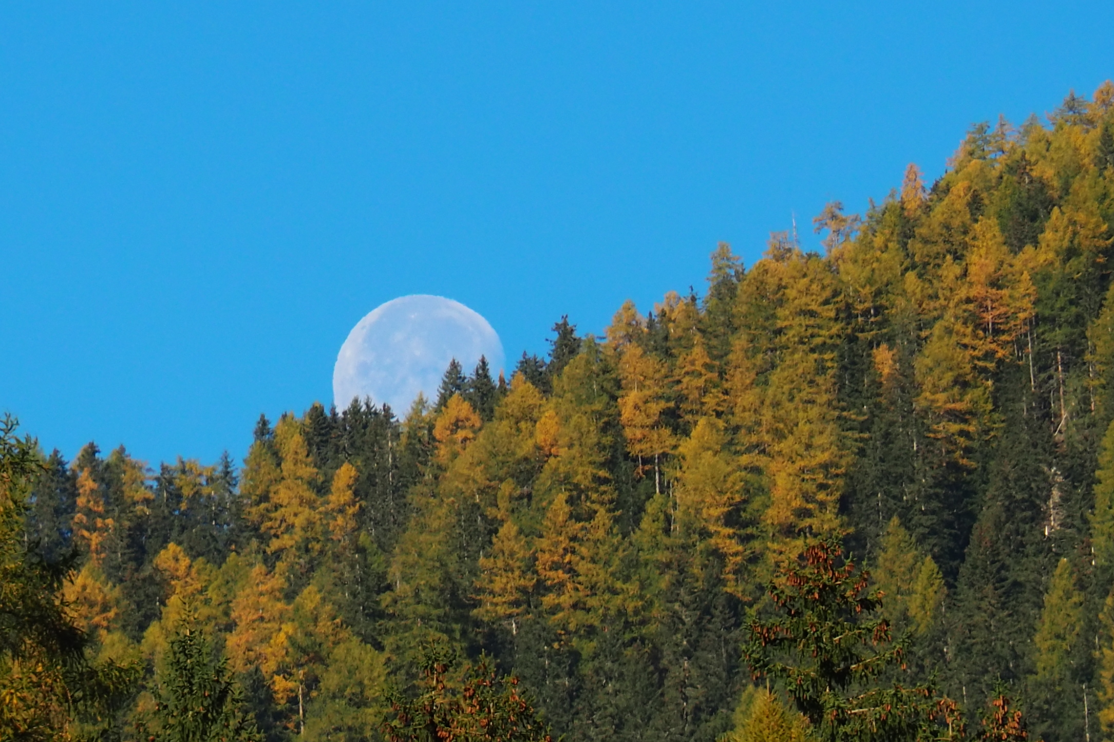 Moonset in Lappach...