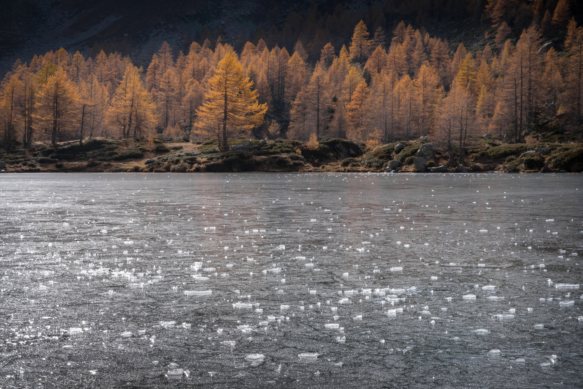 Autumn at Lac d'Arpy...