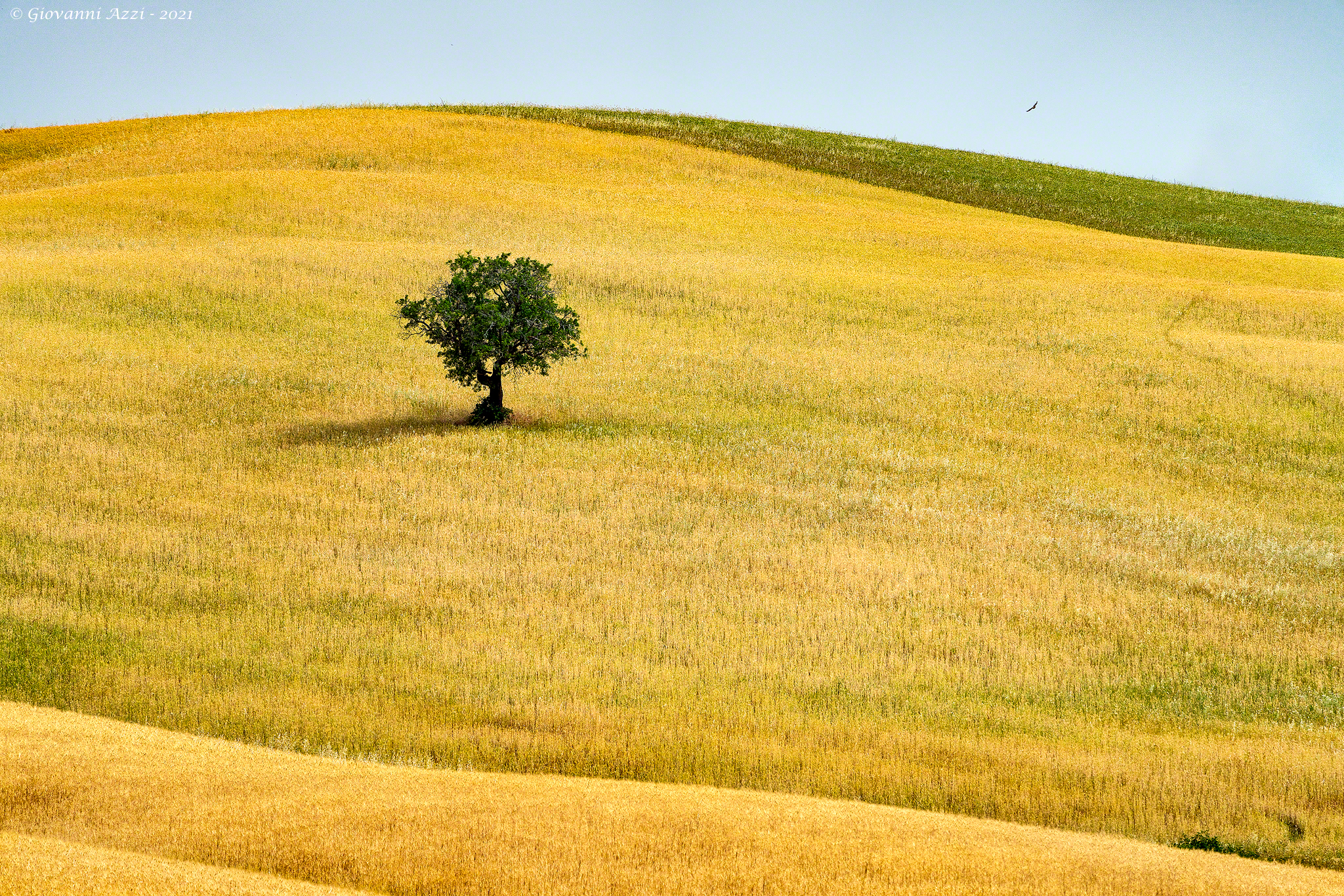Minimal in Val d'Orcia...