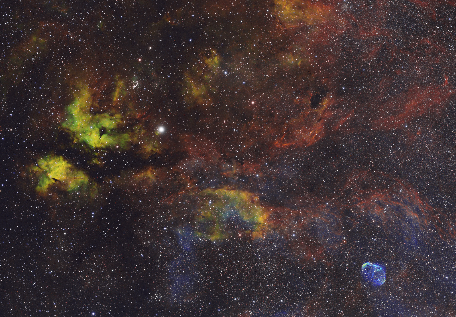 Cygni and Crescent Nebula Range (RGB + SHO)...