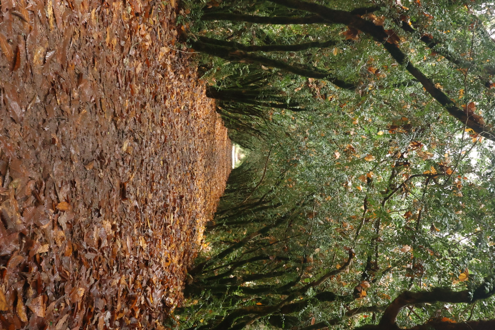 Tunel...