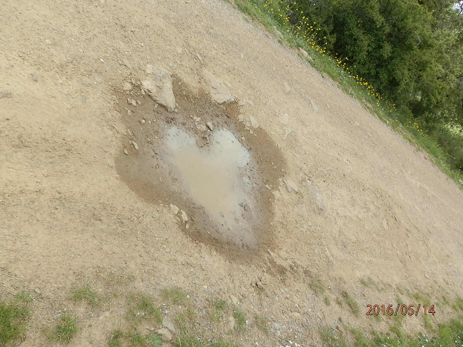 mud heart...
