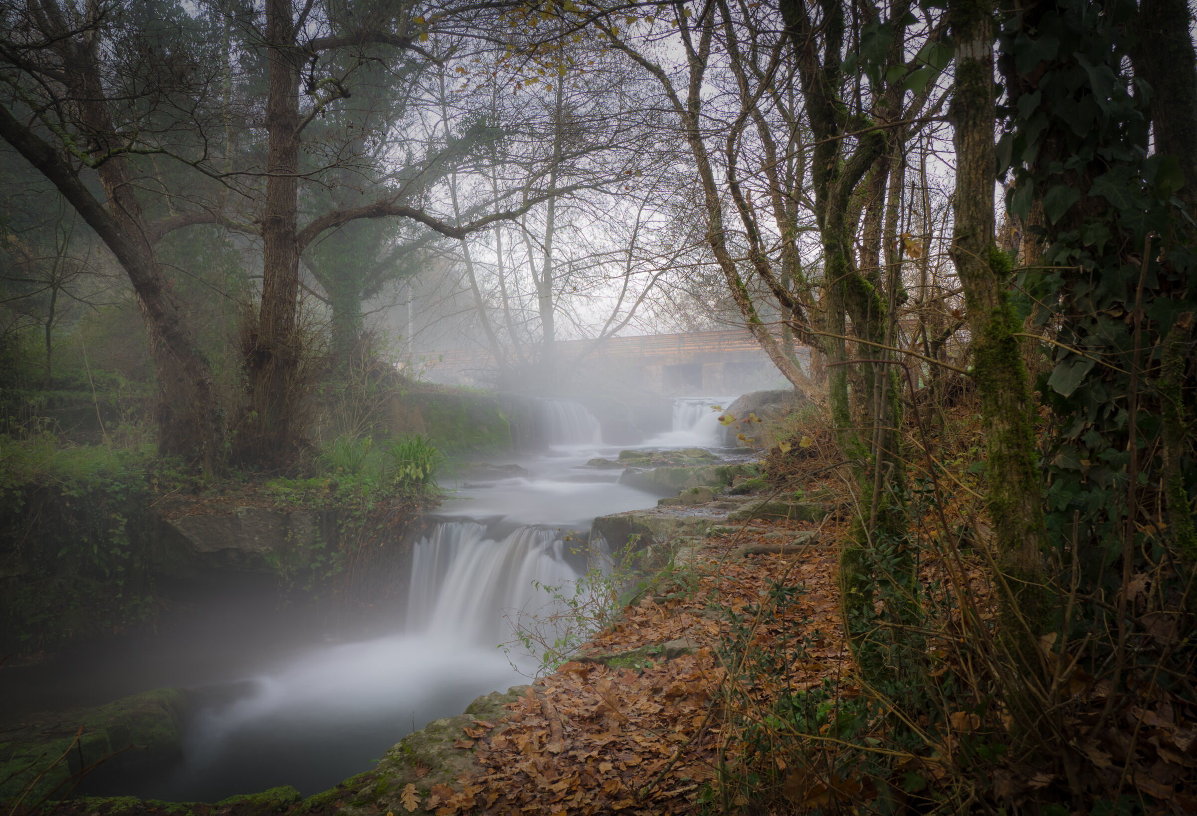 A foggy and cold winter morning at the waterfalls dt...