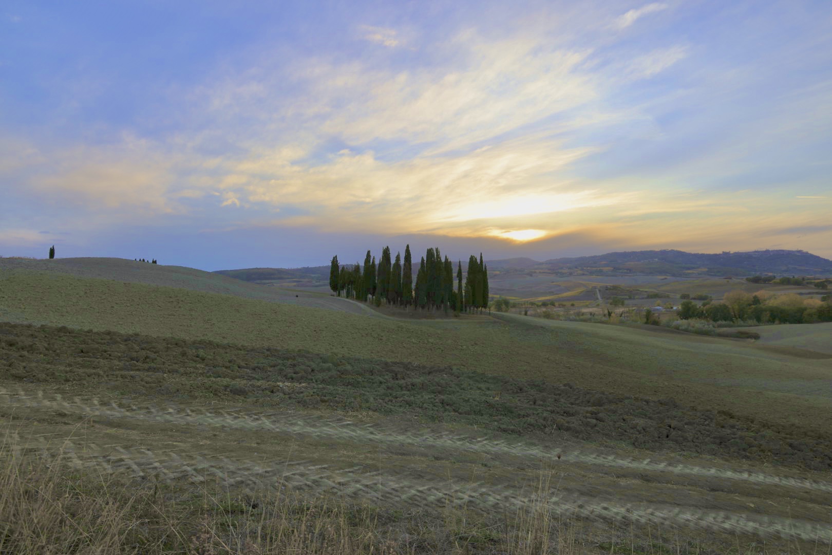 The grove (Val d'Orcia)...