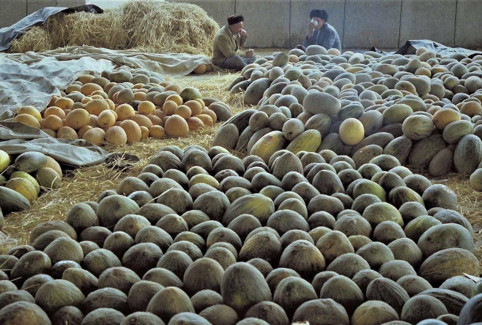 Sellers of melons...