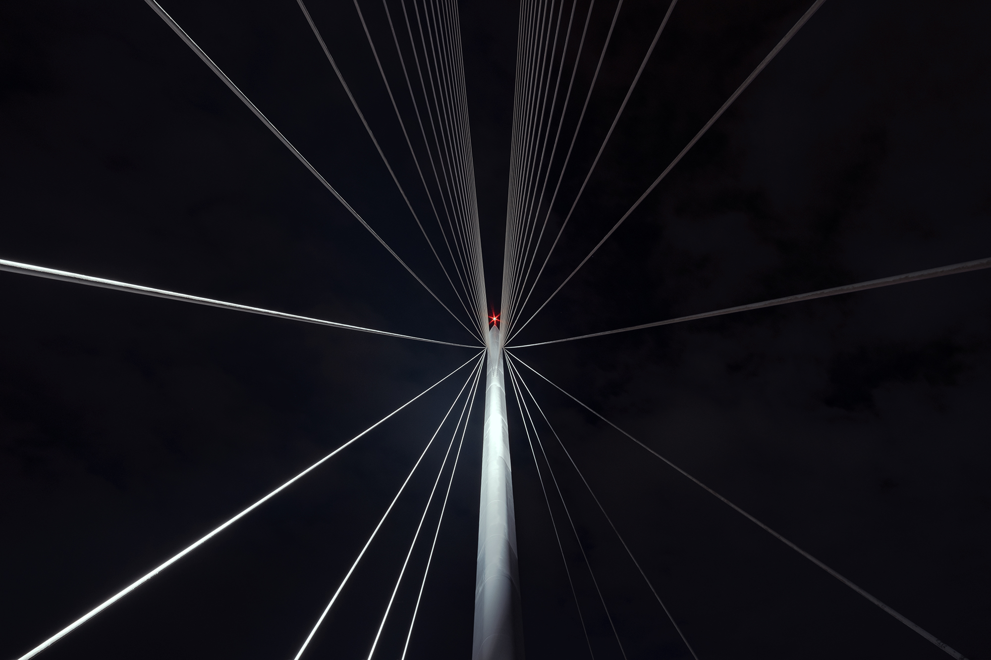 Ponte di Calatrava...