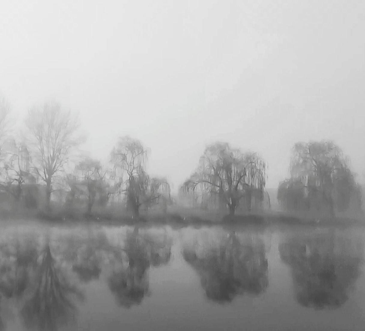Nebbia...