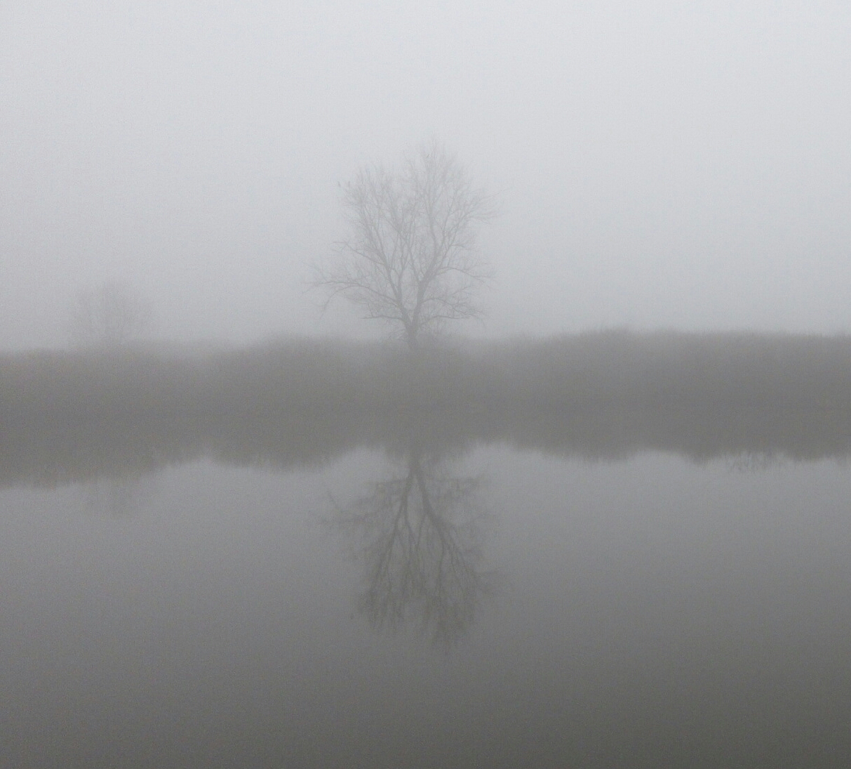 Mirroring yourself in the fog ...