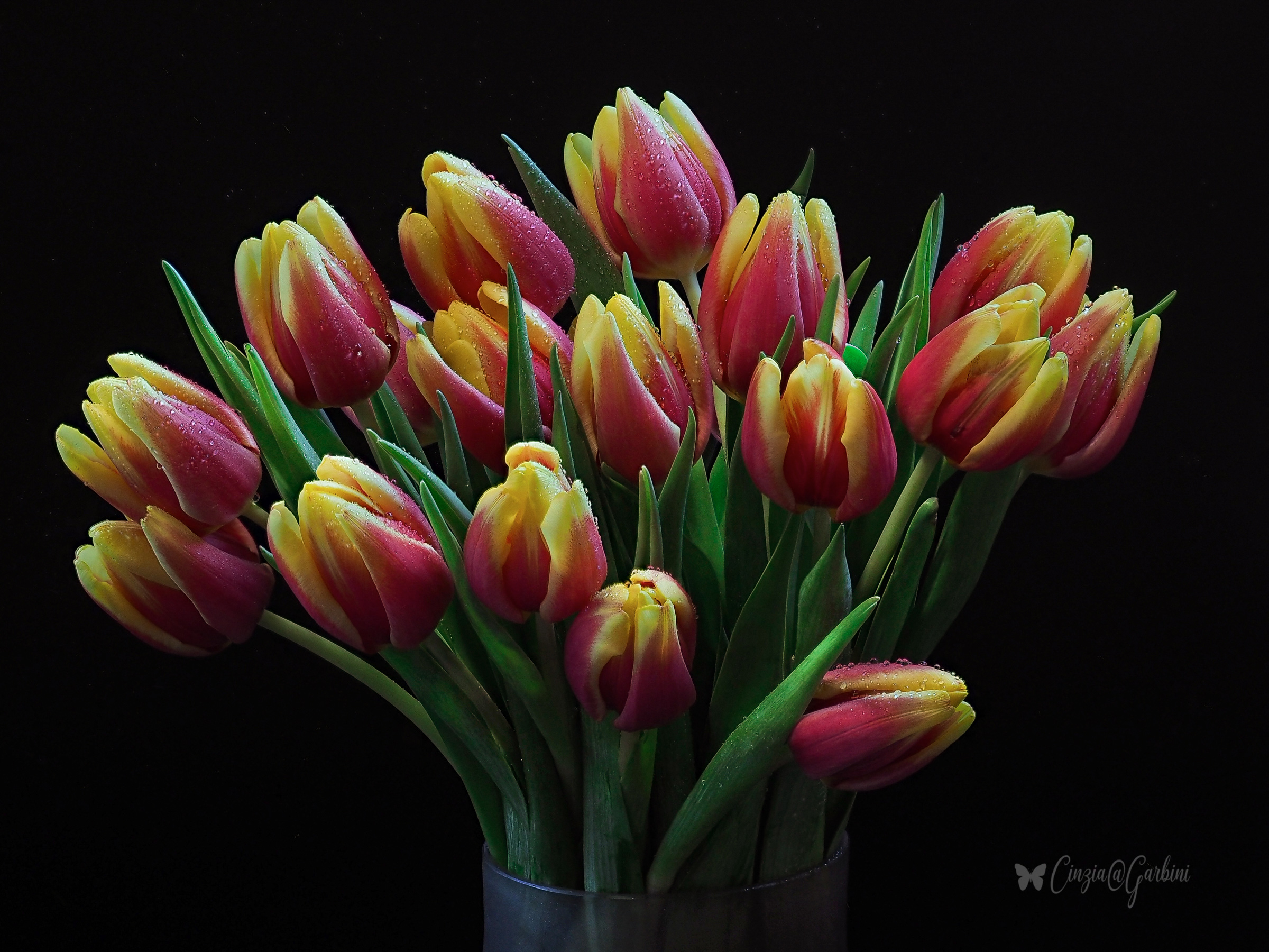 a bunch of tulips...