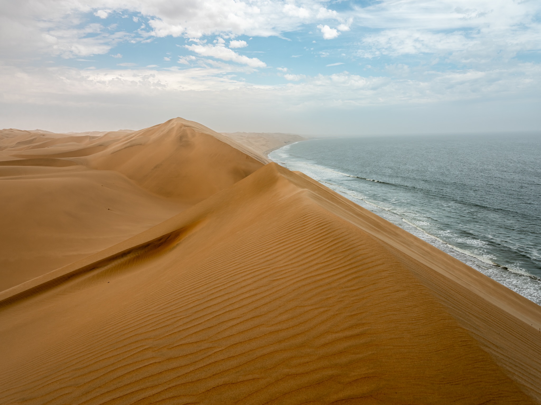 Between dunes and sea...