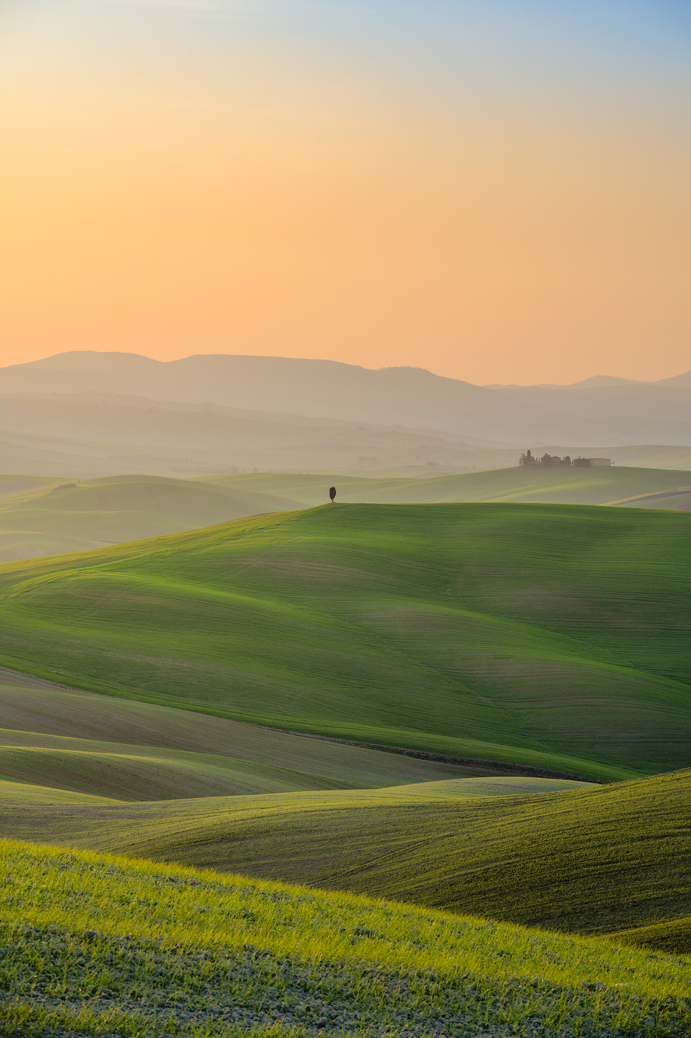 The soft colors of a sunrise in Val d'Orcia...