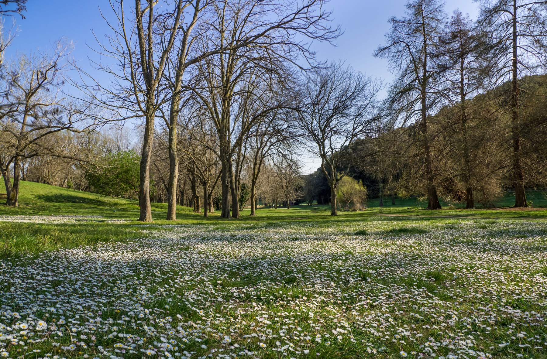 Spring at Villa Pamphili...
