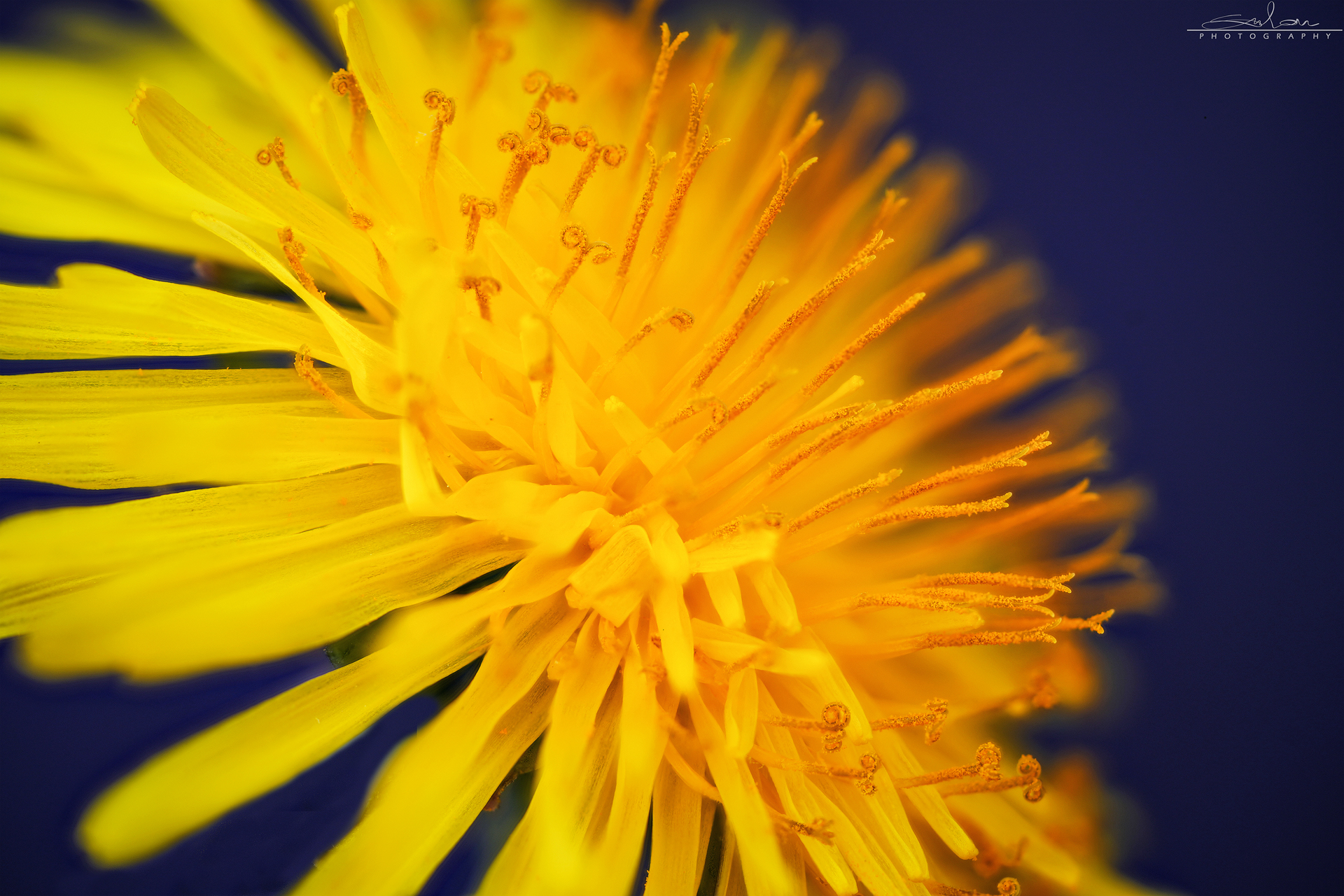 explosion...