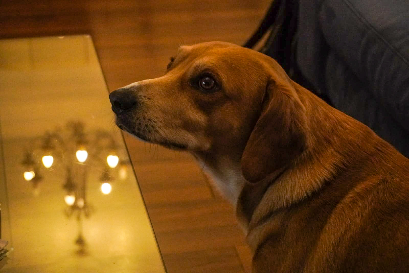 Sly eyes...