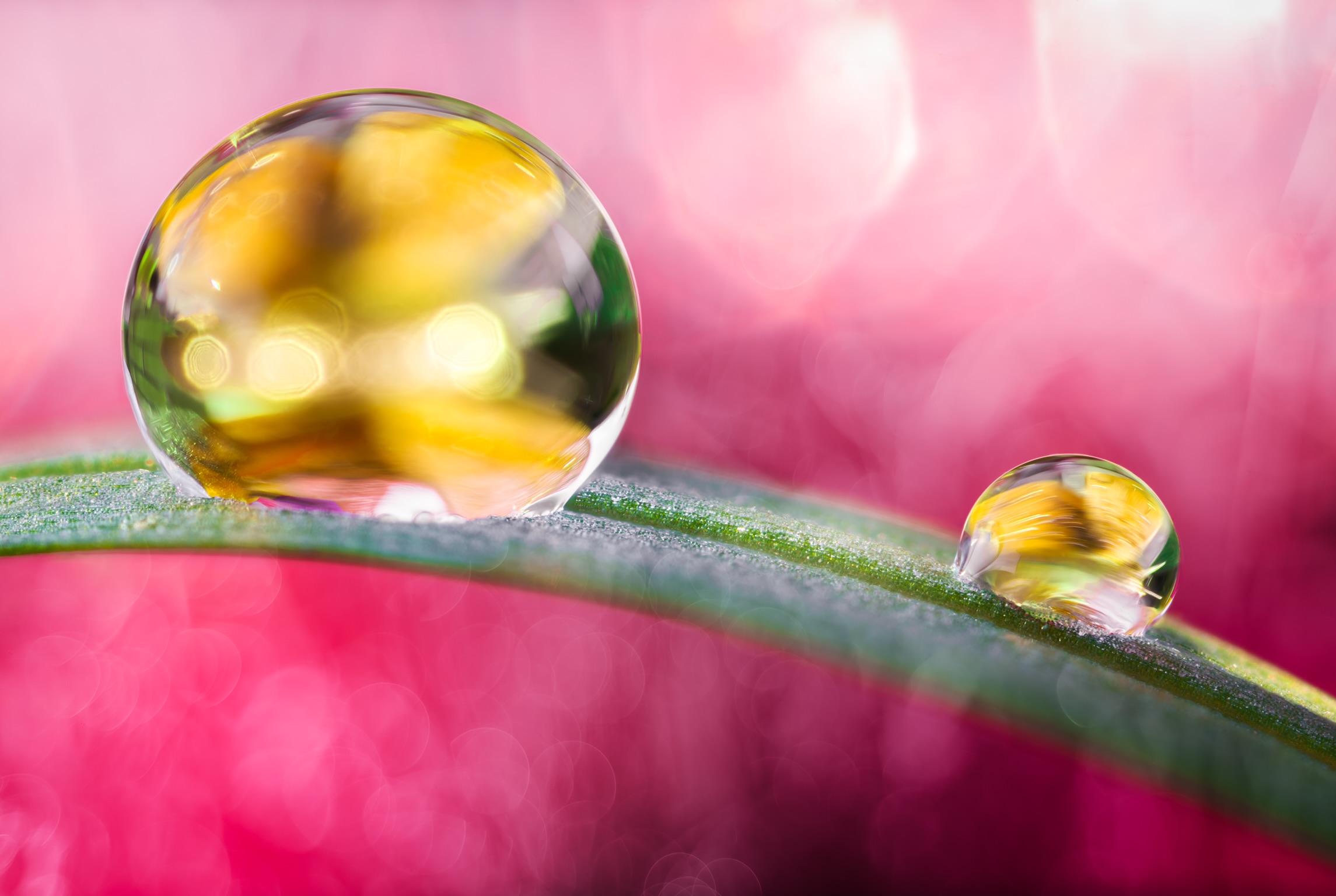Abstract drops ...
