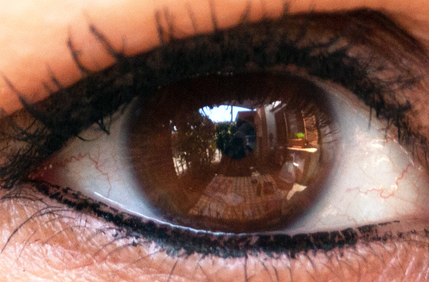 reflection in the eye...