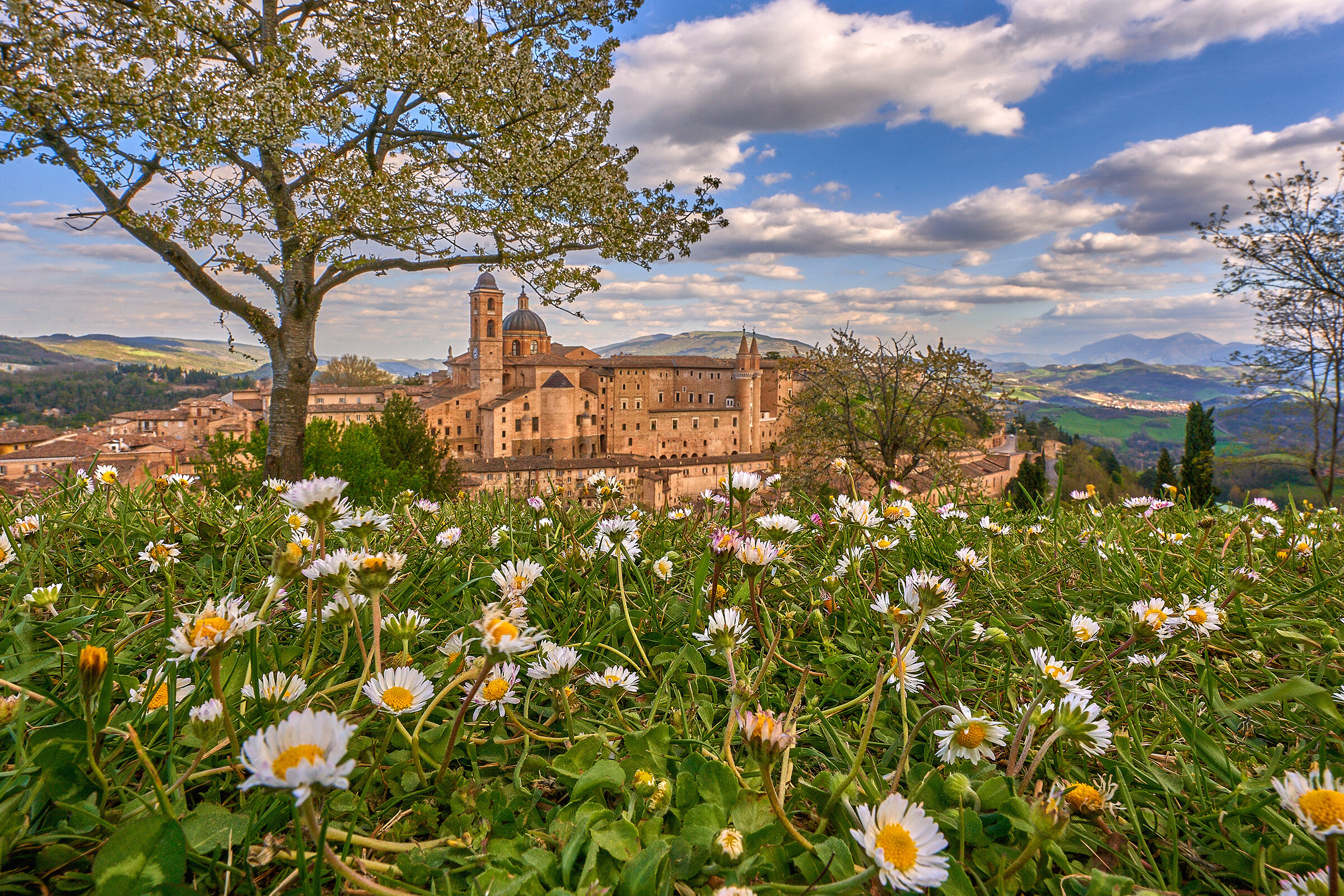 Views from Urbino...