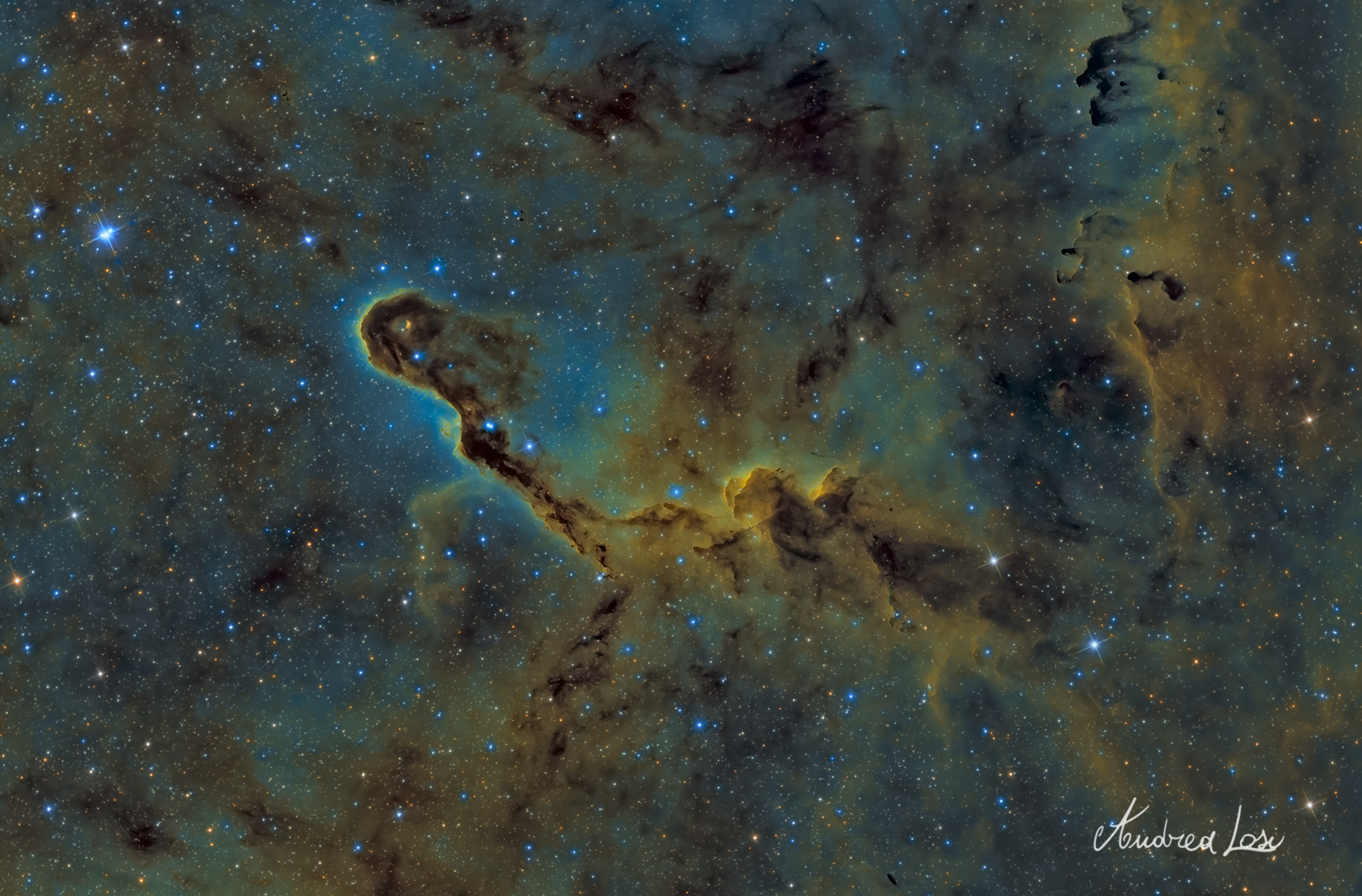 Elephant Proboscis Nebula IC 1396 ...