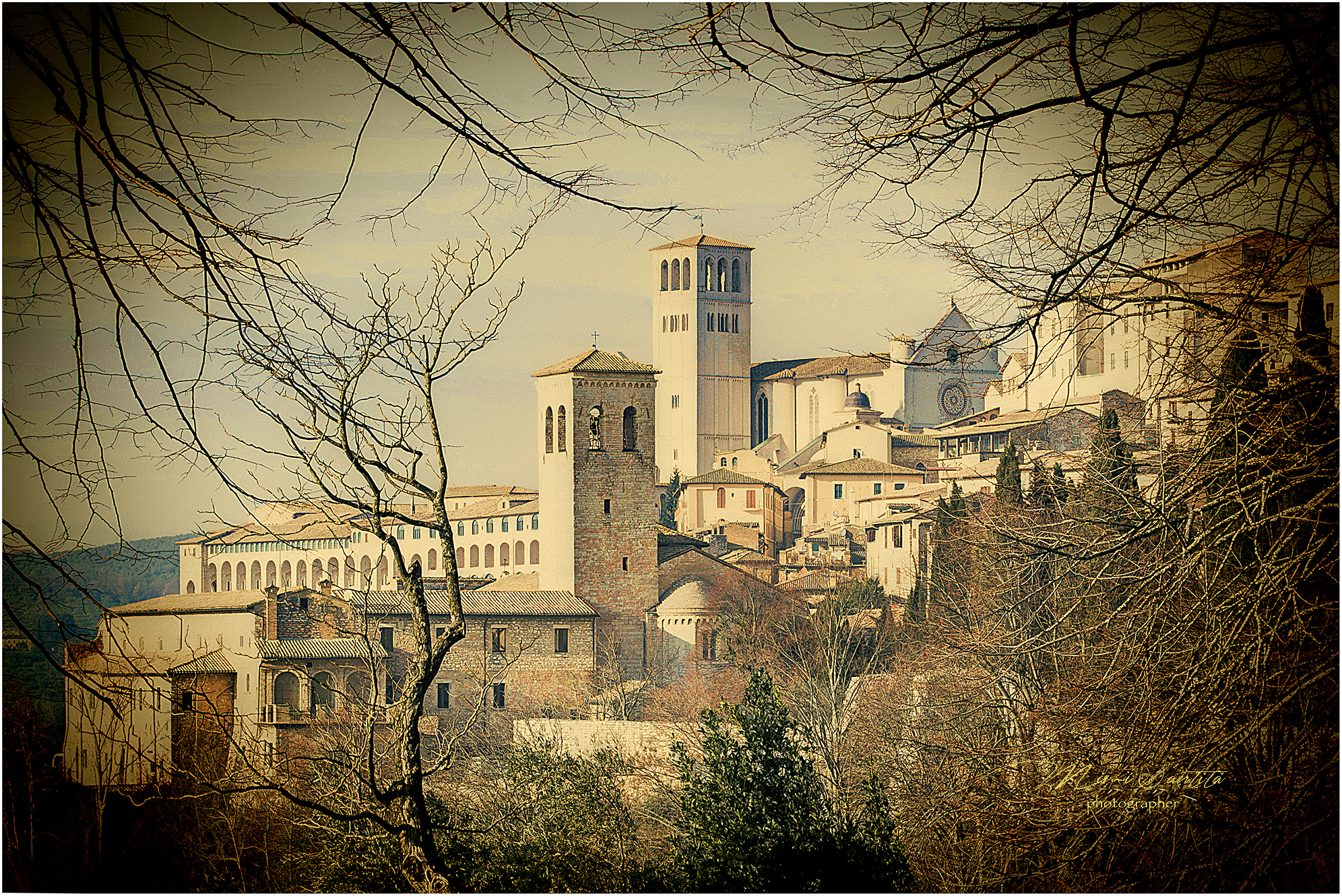  my Assisi...