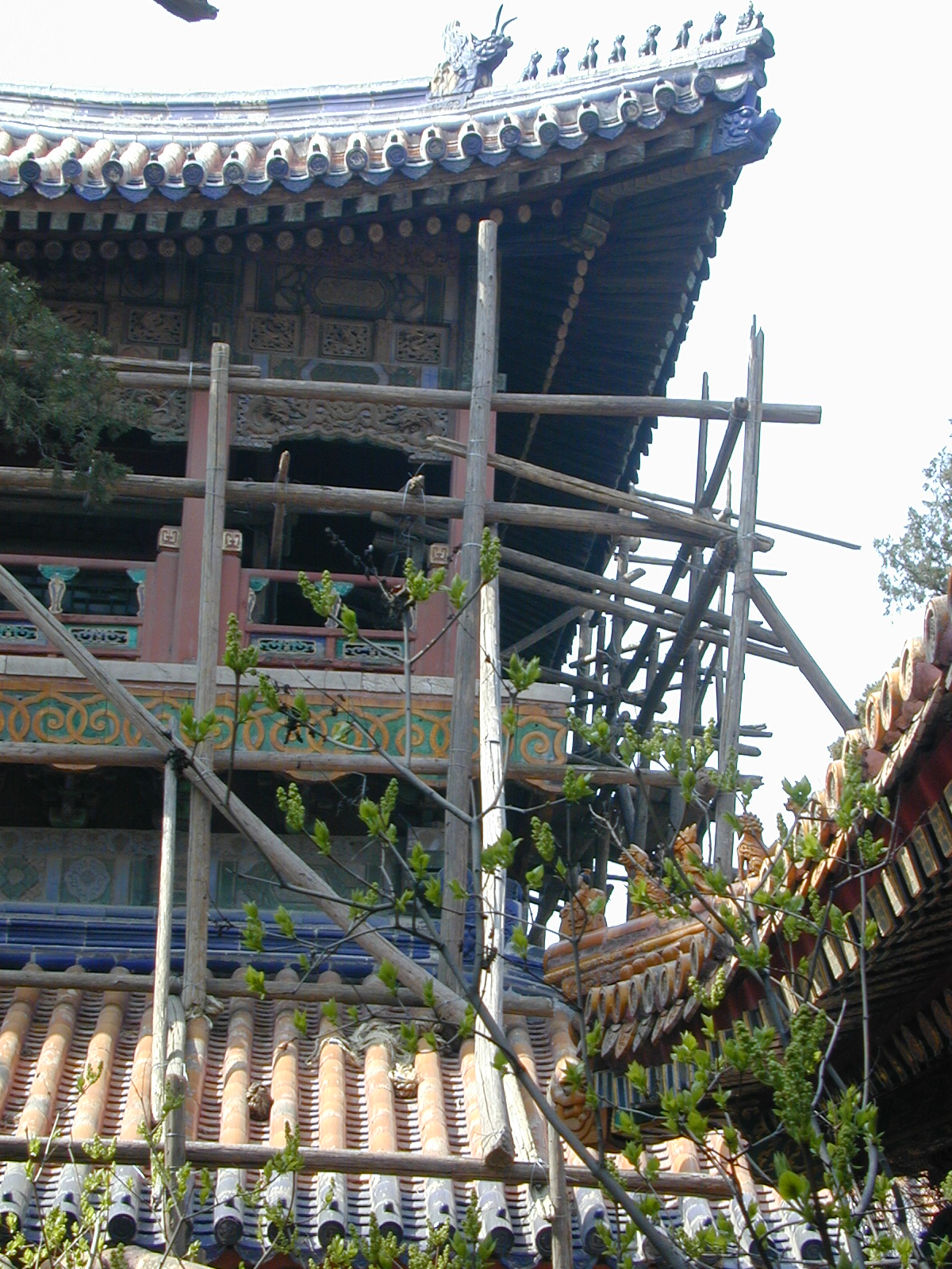 Wooden scaffolding, Forbidden City...