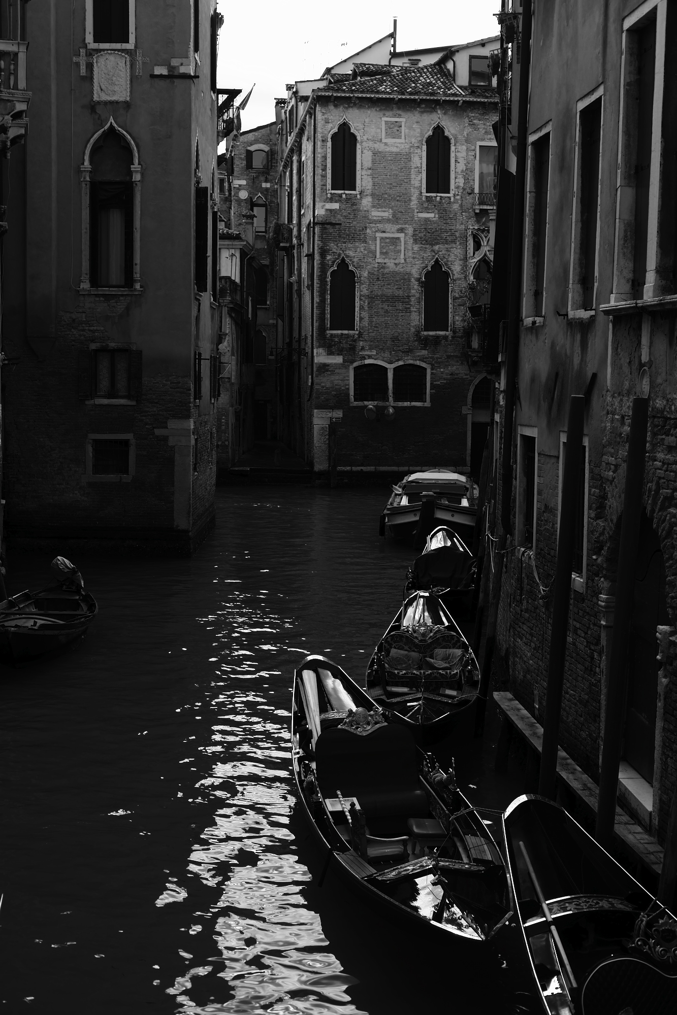 Without Venice...