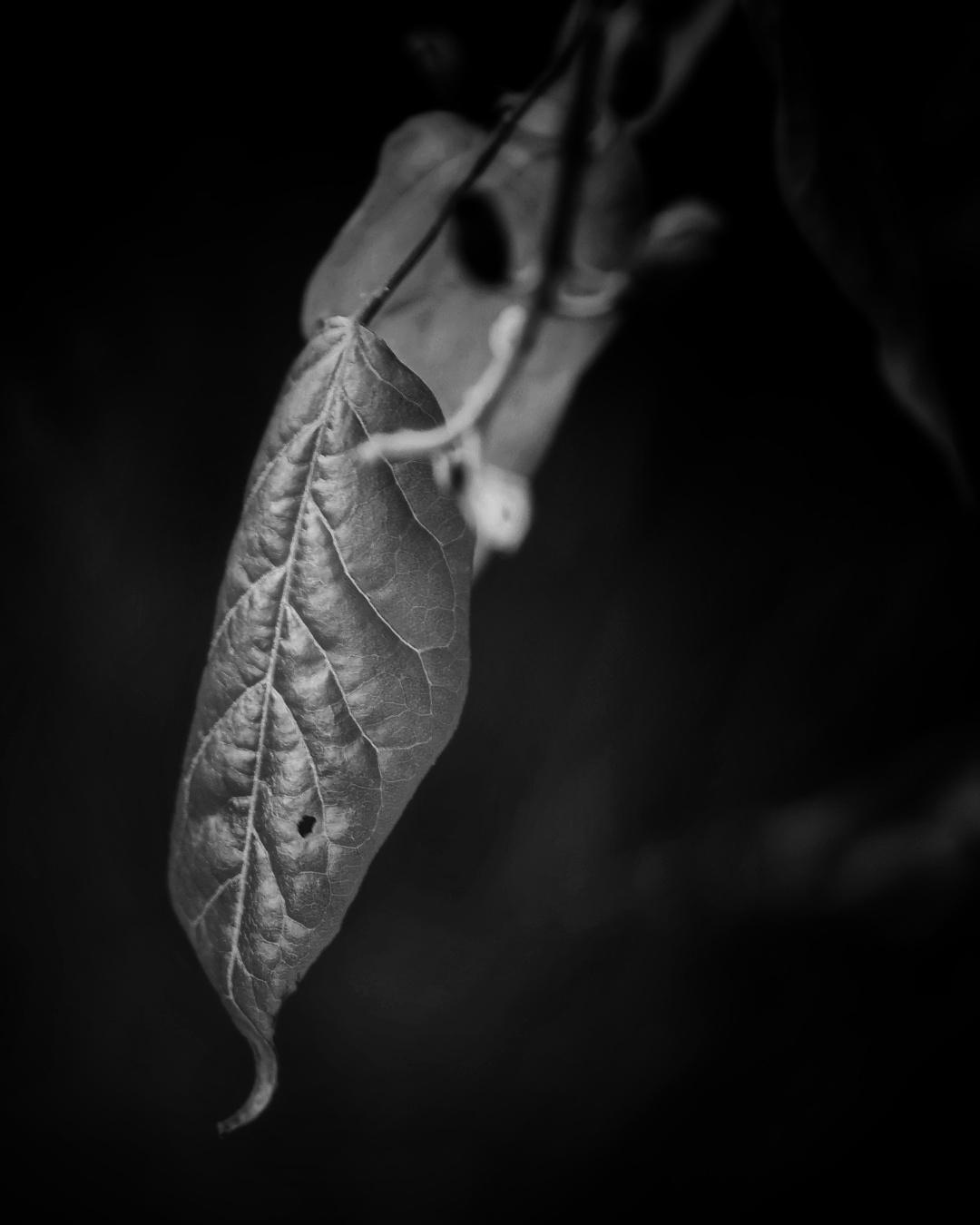 Imperfections ...