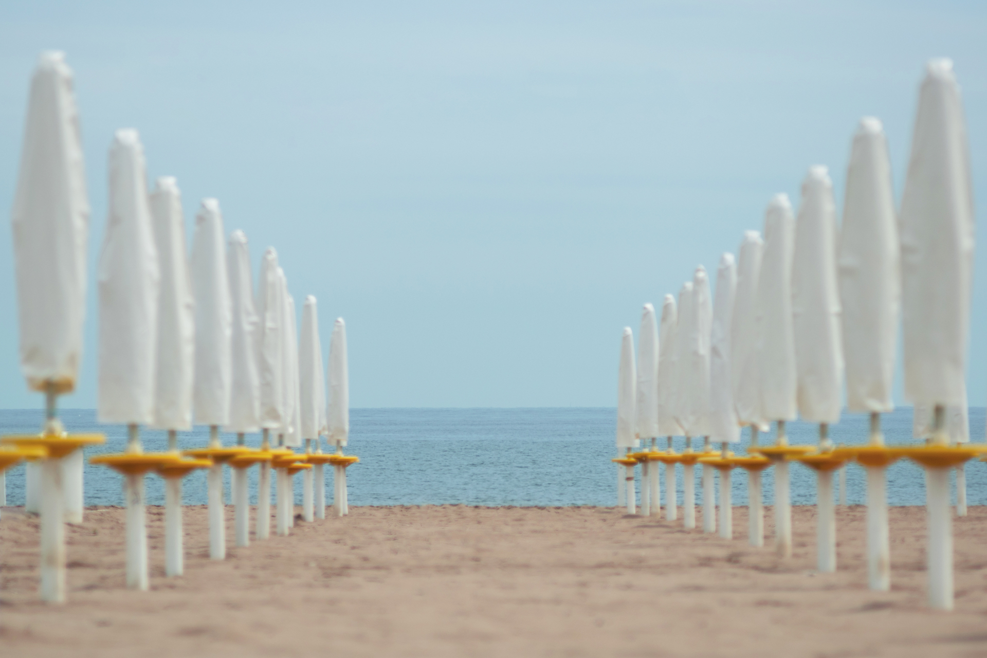 The sea...