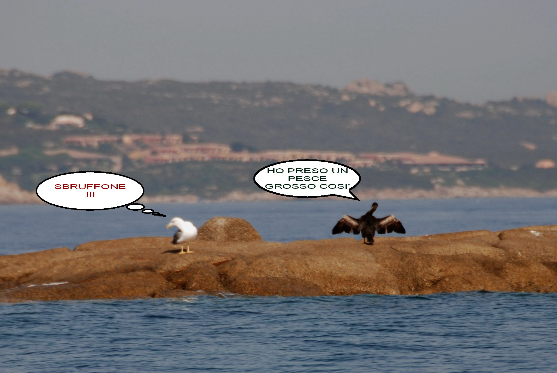 Fishing Club...
