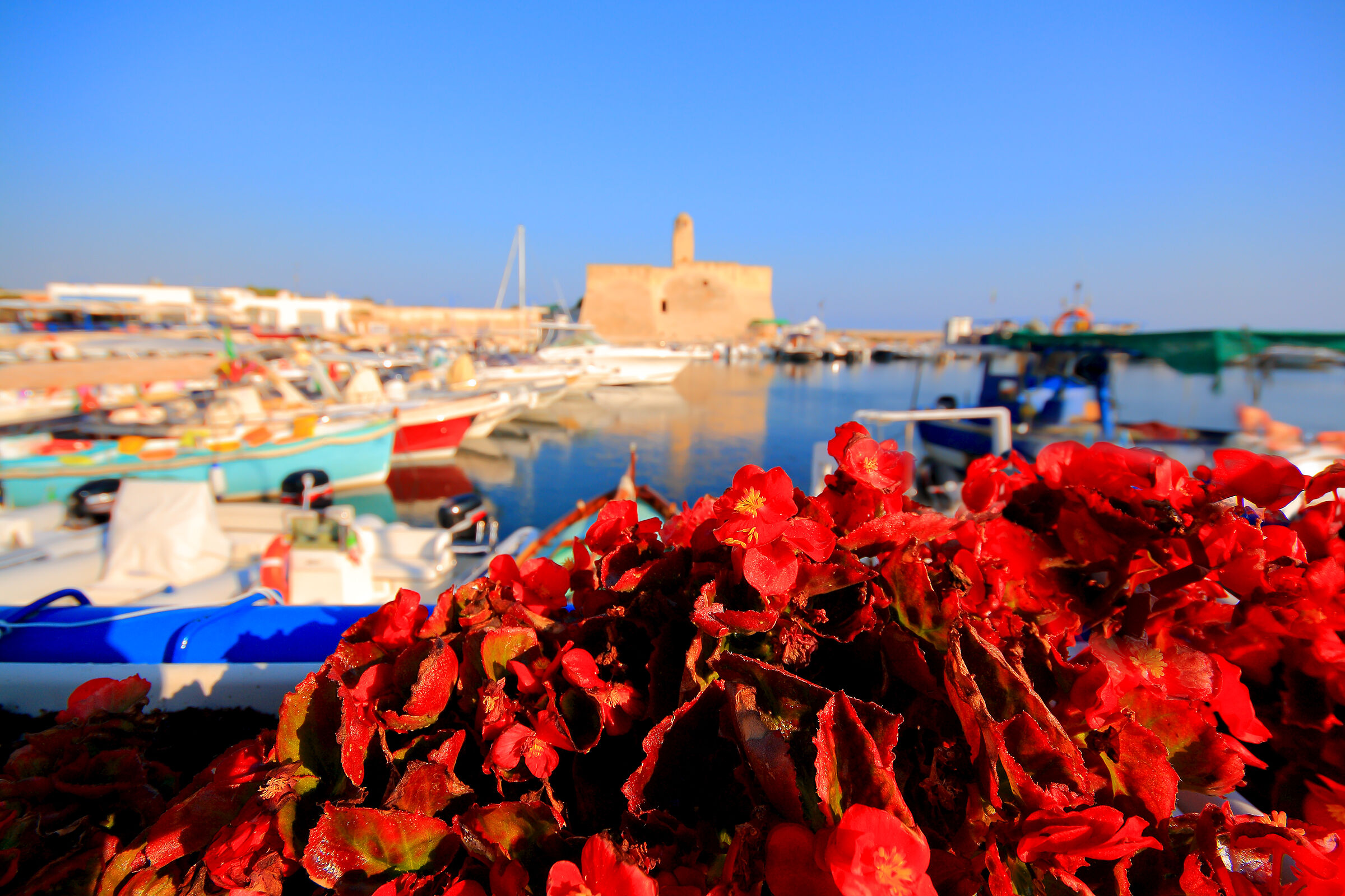 The marina....